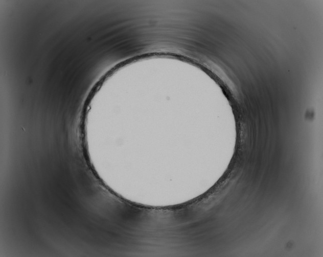 X0000103911068200809191113
