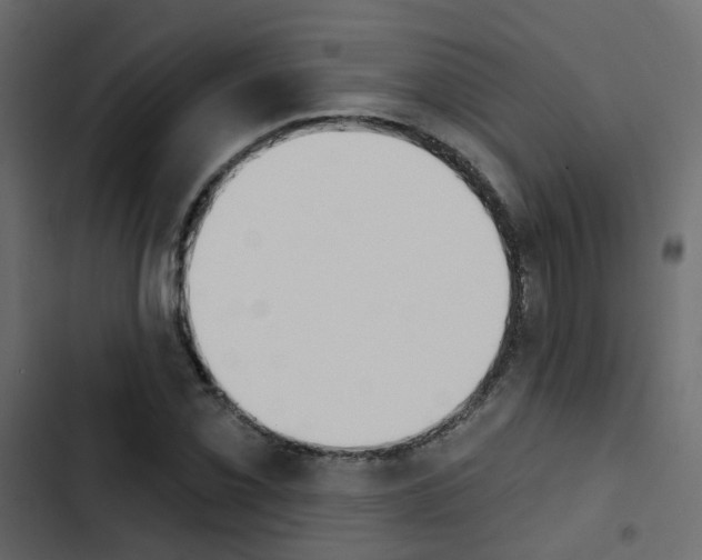 X0000103911069200809191113