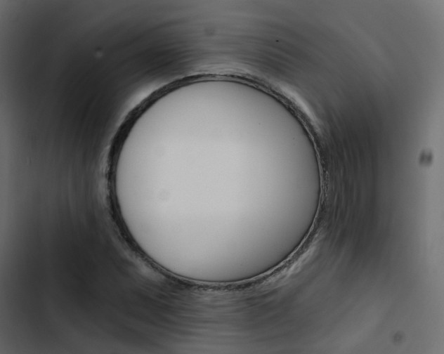 X0000103911071200809191113