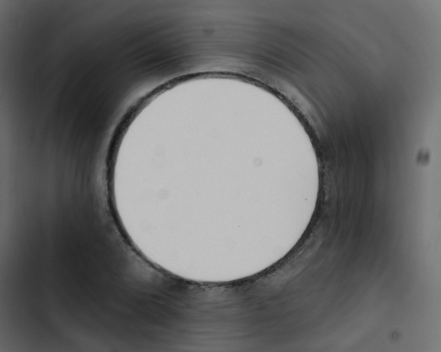 X0000103911072200809191113