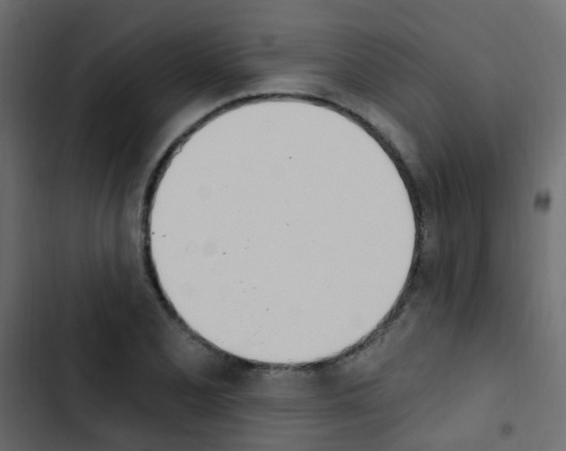X0000103911077200809191113