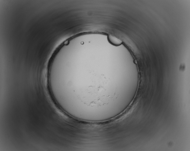 X0000103911079200809191113