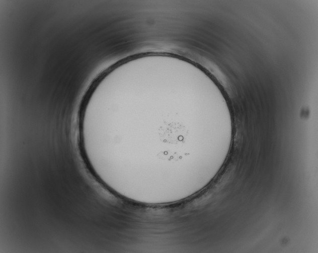 X0000103911080200809191113