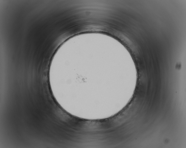 X0000103911081200809191113