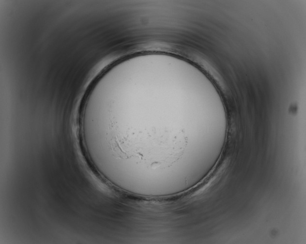 X0000103911082200809191113
