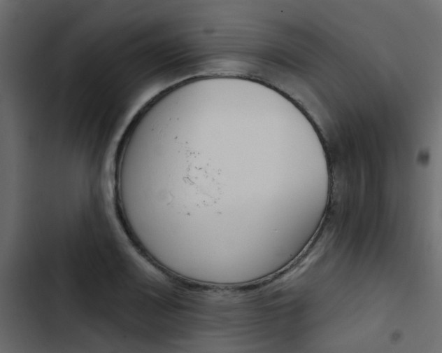 X0000103911083200809191113