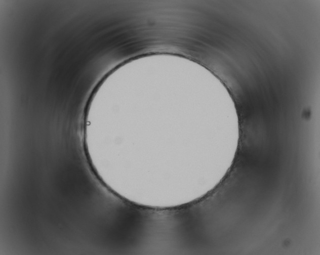 X0000103911084200809191113