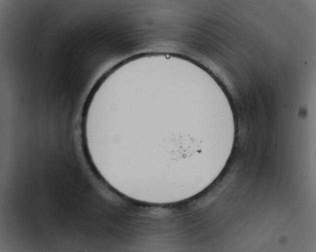 X0000103911085200809191113