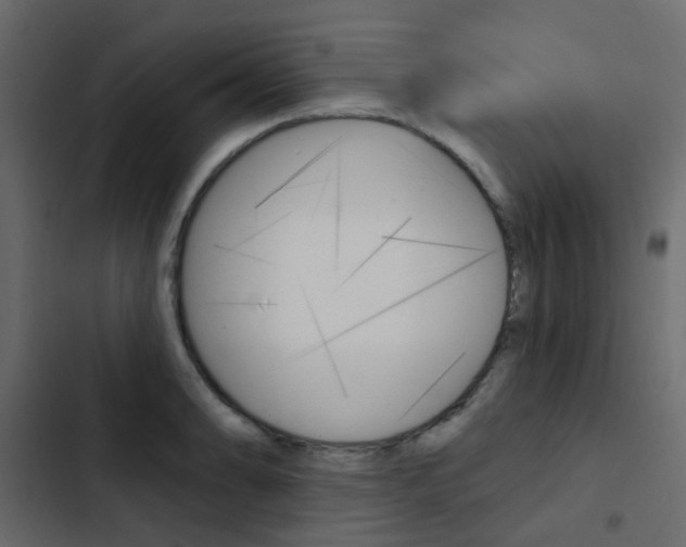 X0000103911086200809191113