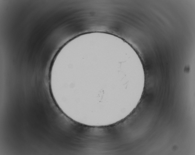 X0000103911088200809191113