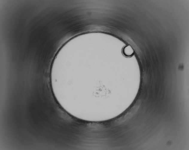 X0000103911089200809191113