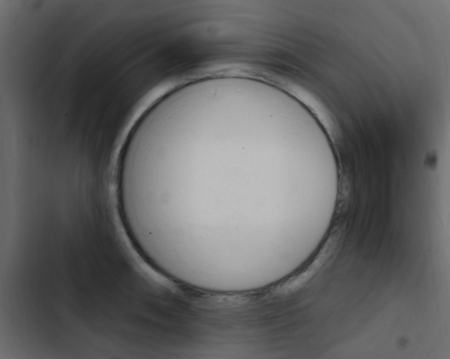 X0000103911090200809191113