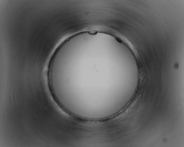 X0000103911091200809191113