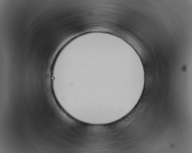 X0000103911092200809191113