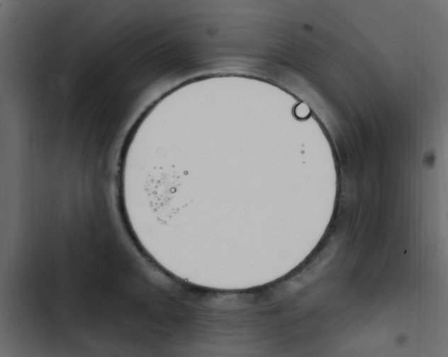 X0000103911093200809191113
