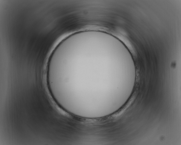 X0000103911094200809191113
