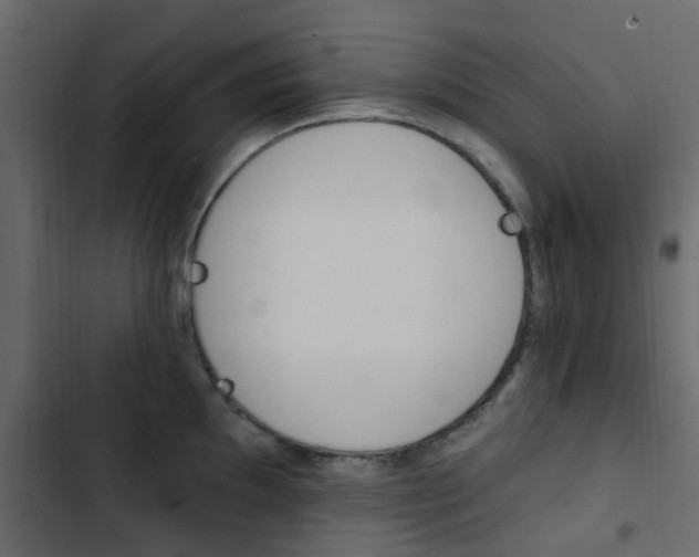 X0000103911097200809191113