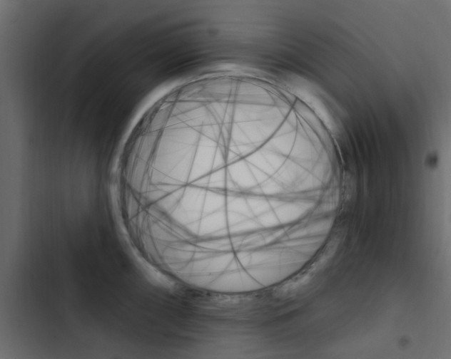X0000103911098200809191113