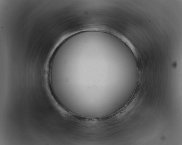 X0000103911099200809191113