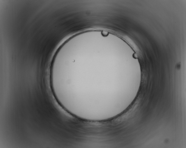 X0000103911100200809191113