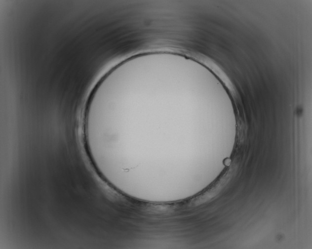 X0000103911101200809191113