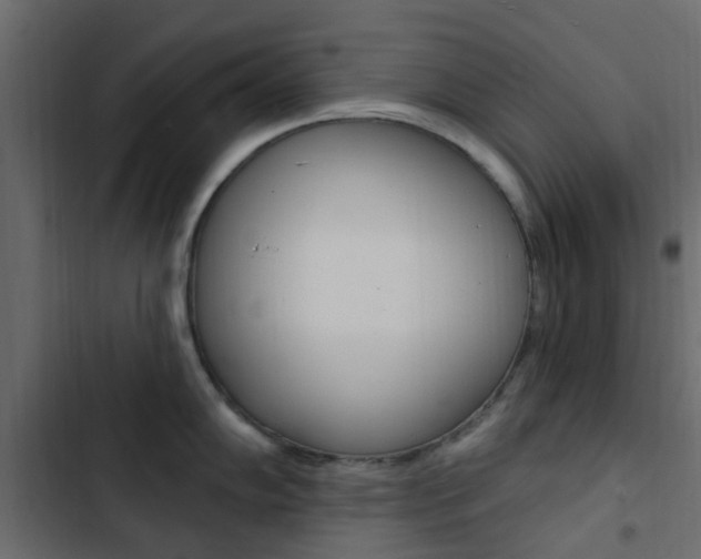 X0000103911102200809191113