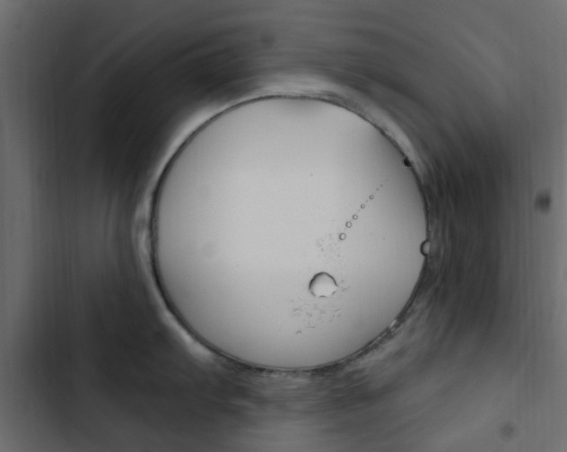 X0000103911103200809191113