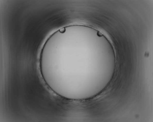 X0000103911104200809191113
