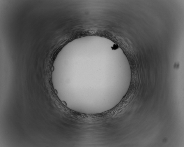 X0000103911105200809191112