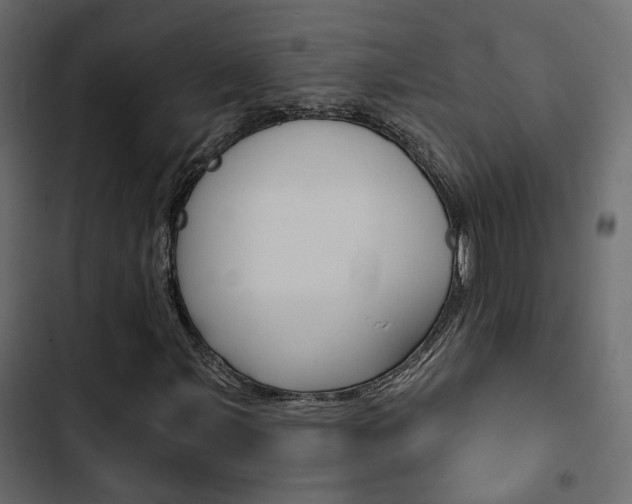 X0000103911107200809191112