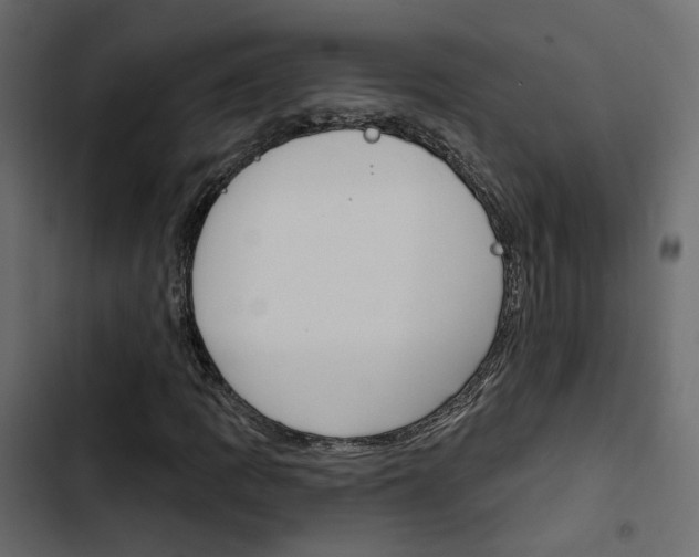 X0000103911109200809191112