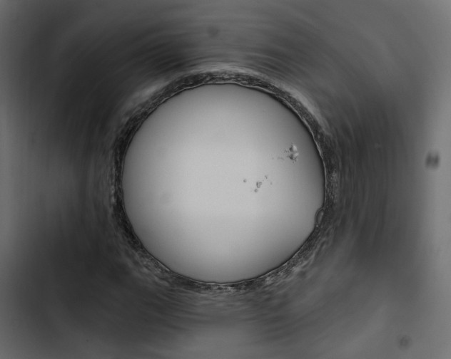 X0000103911111200809191112