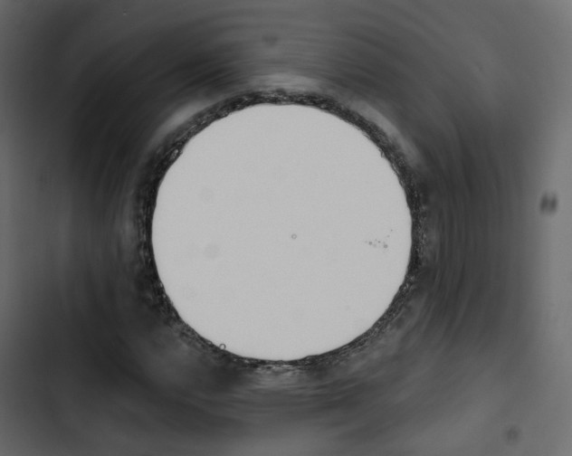 X0000103911112200809191112