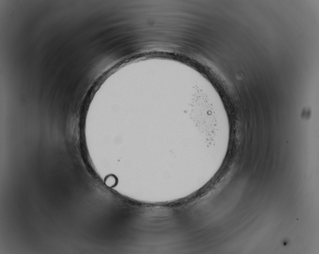 X0000103911113200809191112