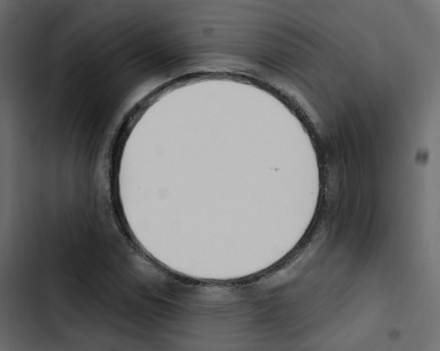 X0000103911114200809191112
