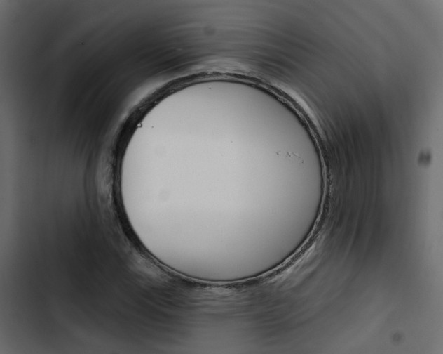 X0000103911115200809191112