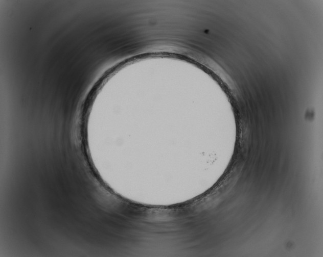 X0000103911116200809191112