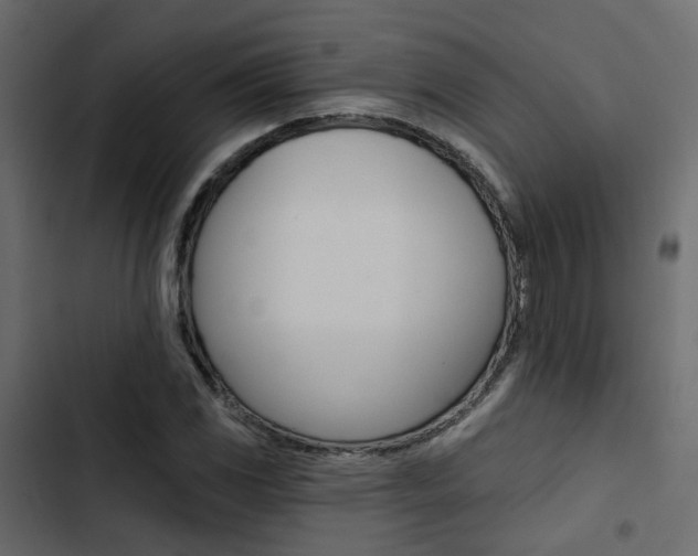 X0000103911117200809191112