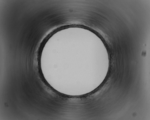X0000103911118200809191112