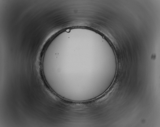 X0000103911119200809191112