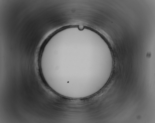 X0000103911120200809191112