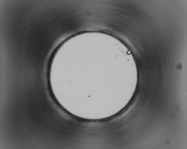 X0000103911122200809191112
