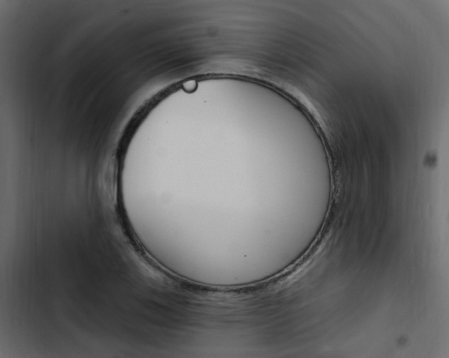 X0000103911123200809191112