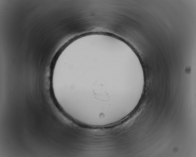 X0000103911126200809191112