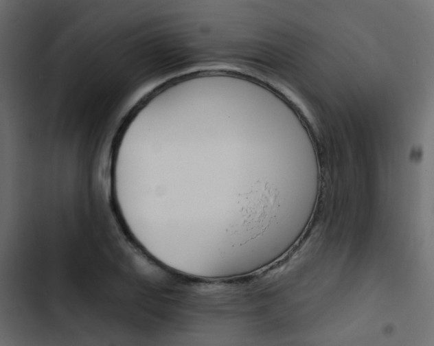 X0000103911127200809191112