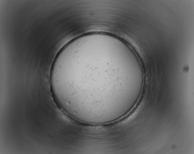 X0000103911129200809191112