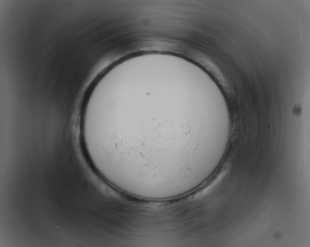 X0000103911130200809191112