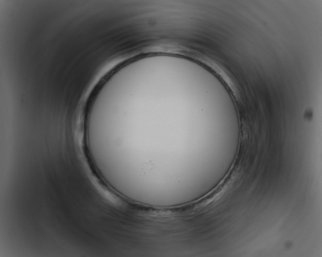 X0000103911131200809191112
