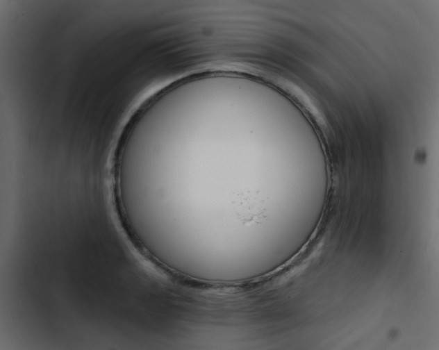 X0000103911133200809191112