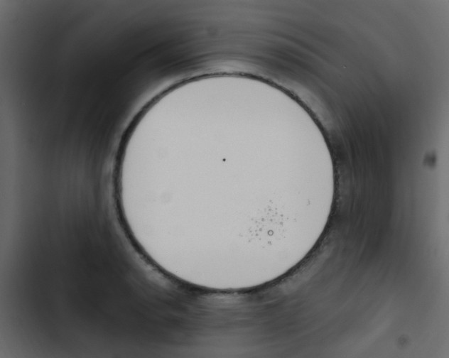 X0000103911134200809191113